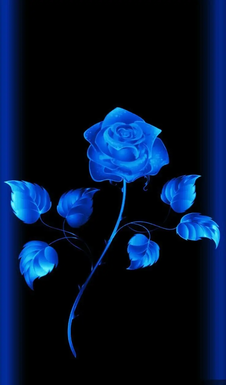 Download digital background photo of blue rose in HD quality
