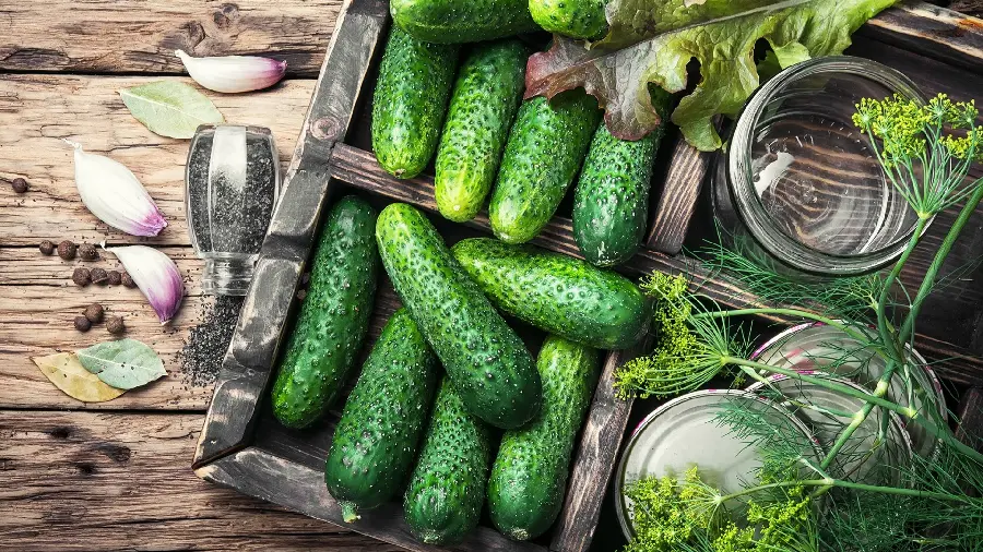 Photo of green cucumbers on a bush in online stores