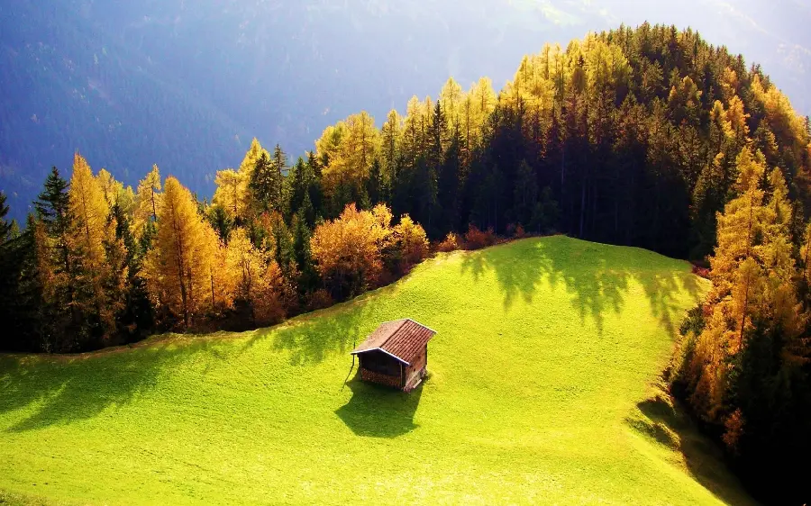 The latest high-quality image of lush nature for printing posters and signs 