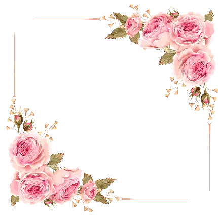 Full HD raw photo of a beautiful flower frame for writing text