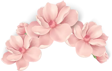 Image without a flower background for editing photos in PhotoShop