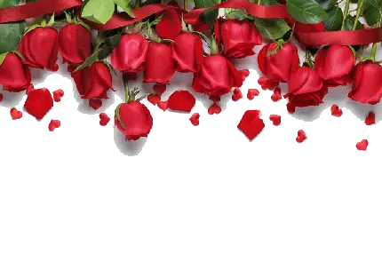 Raw photo with one-sided border of red roses for writing poetry