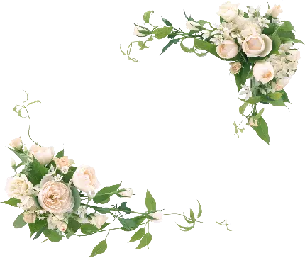 Raw photo of a dreamy flower frame with high quality for a text border