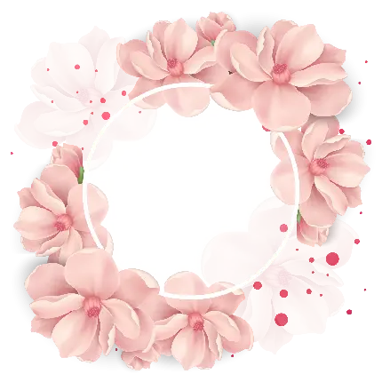 Download the most beautiful flower frame for editing a profile photo