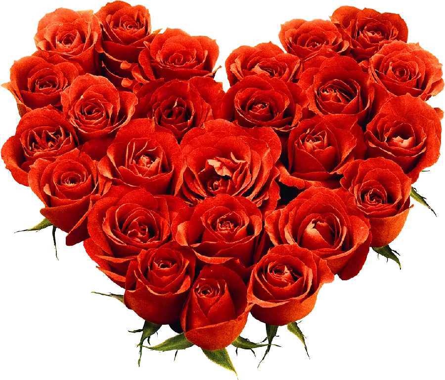 Free download png bouquet of red heart-shaped flowers without a background