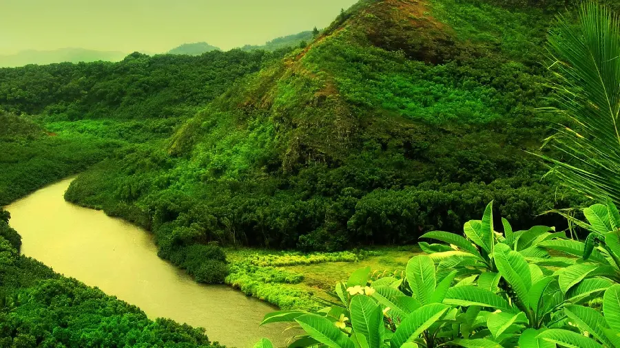 Lovely stock photo of a river and forest for your profile