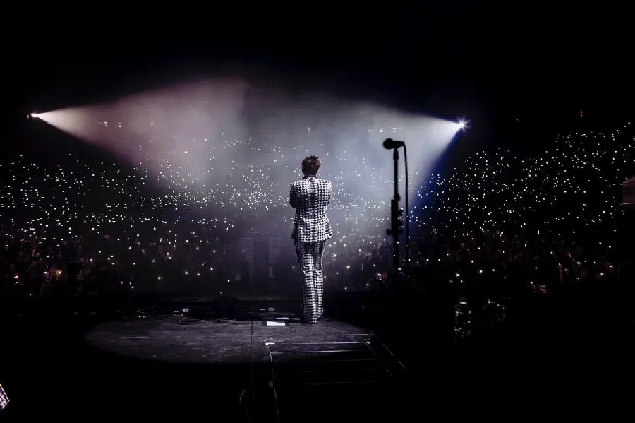 A masterpiece HD photo of Harry Styles at a crowded concert