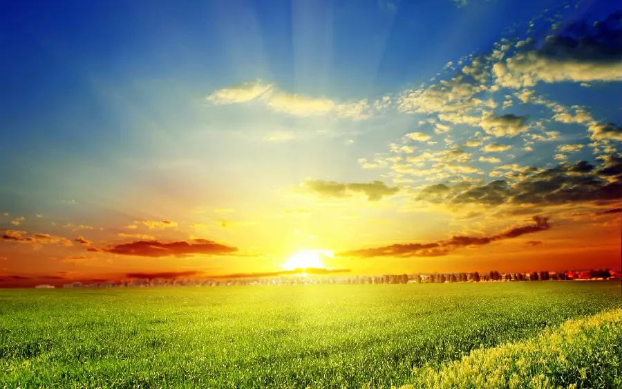 High quality free stock image of spring nature landscape