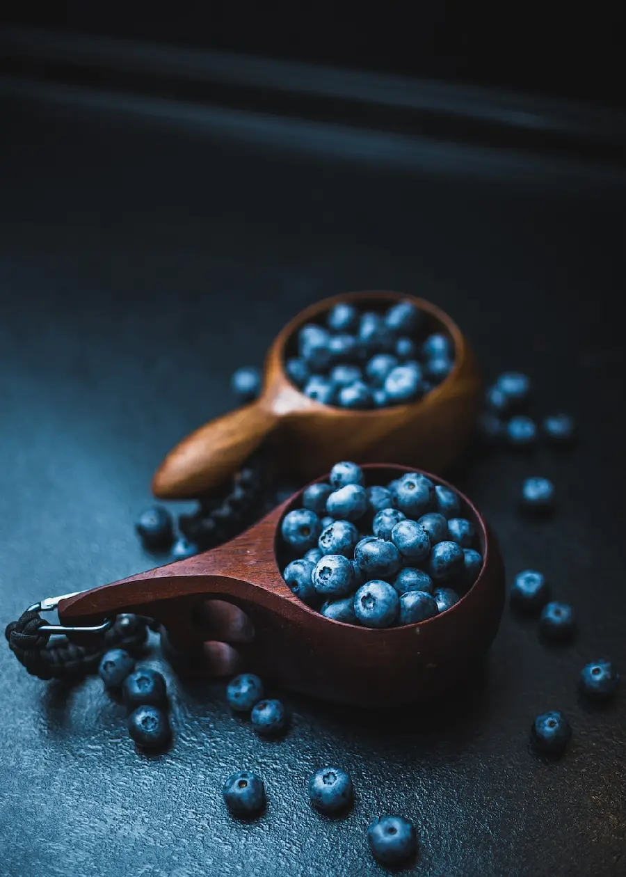 A different background from blueberry fruit