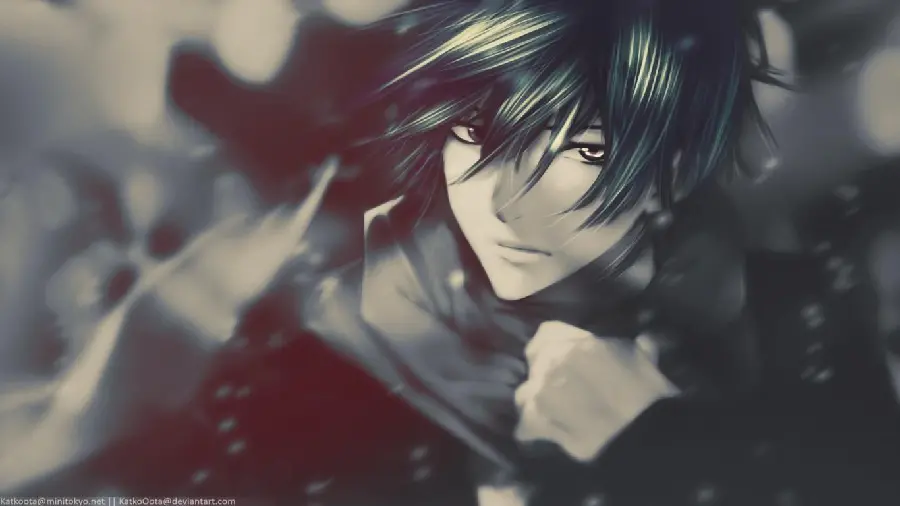 Anime boy photo with black hair, attractive HD quality