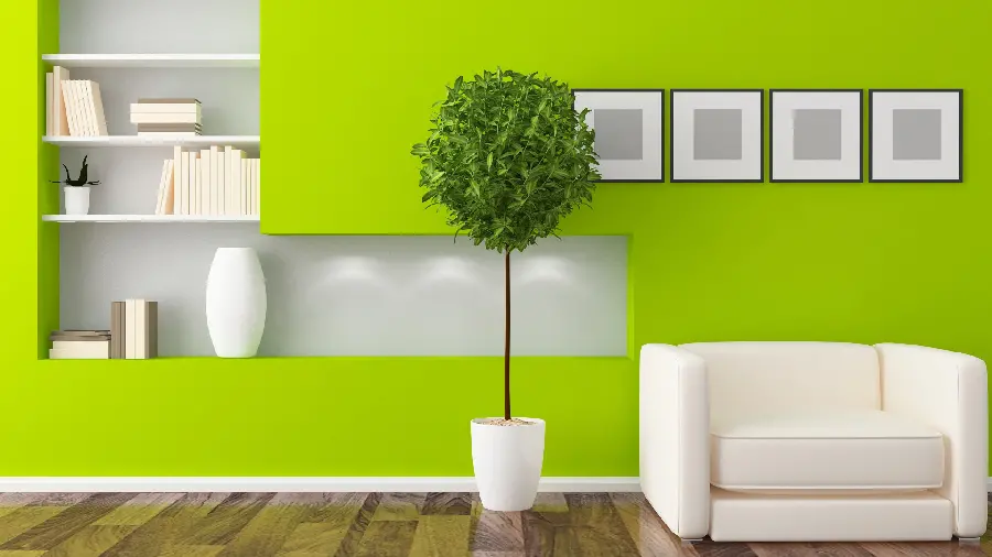 Stylish Green and White Space for Wallpaper of Decoration Designers