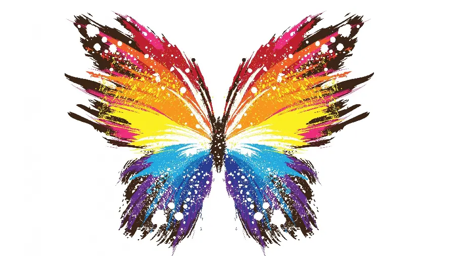 Large butterfly photo for 4K profile