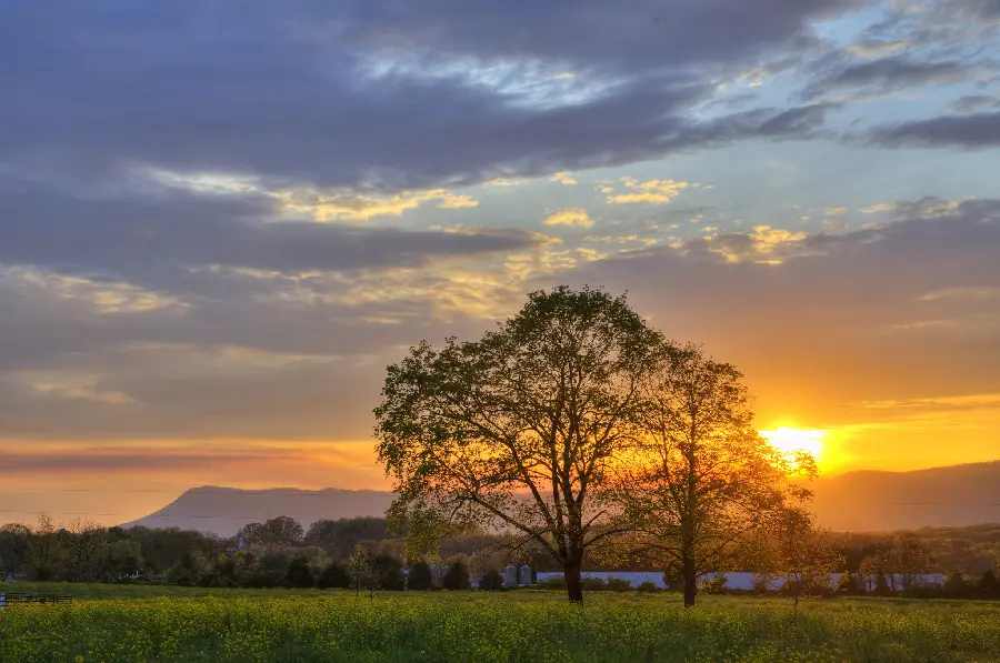 Image of pristine nature under the dreamy light of the sky with full hd quality