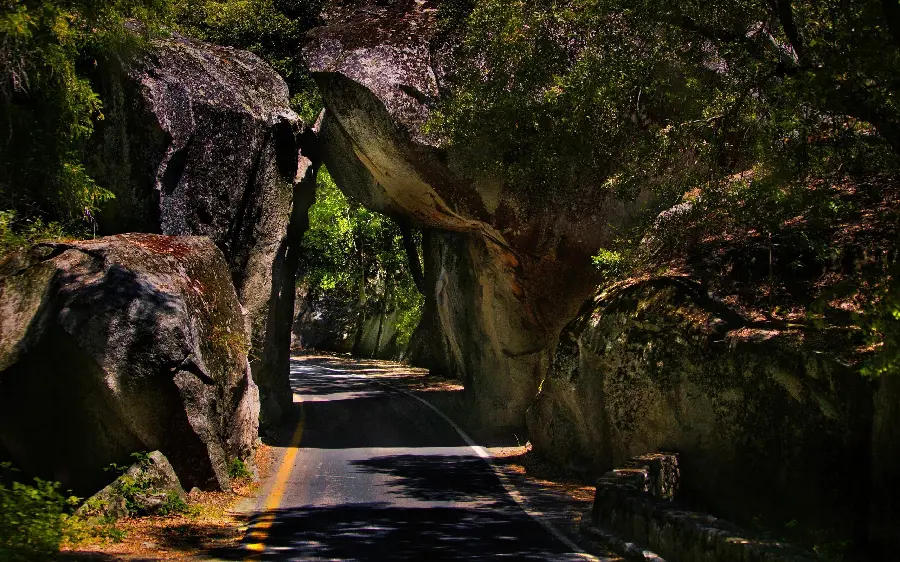 Unique image of a forest road surrounded by stones for a picture carpet