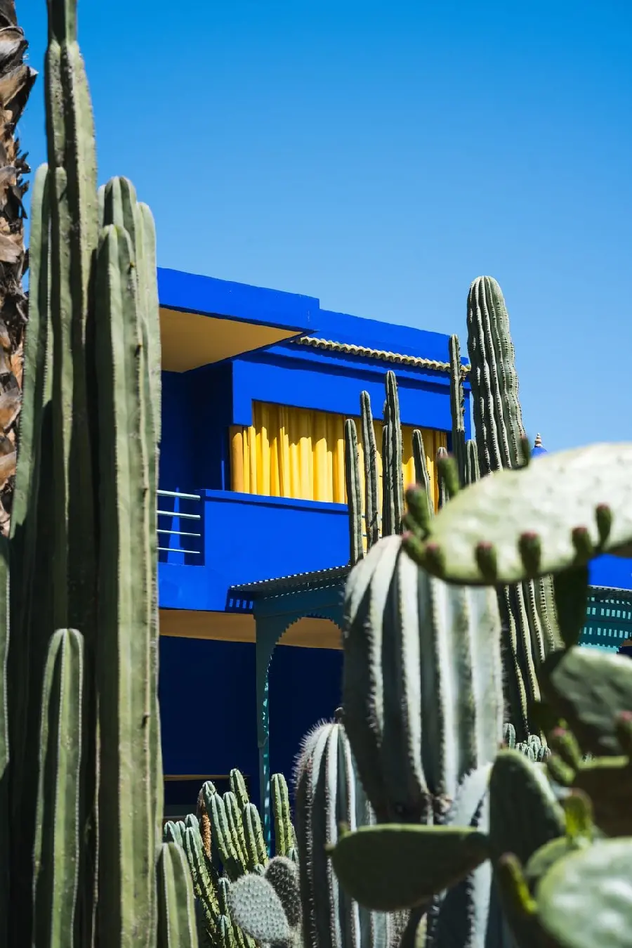 Picture of the Majorelle Botanical Garden of Morocco with a blue building