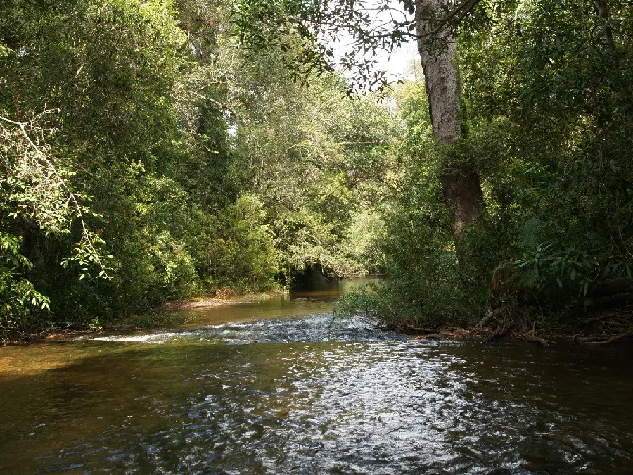 Beautiful nature background of the river for Samsung
