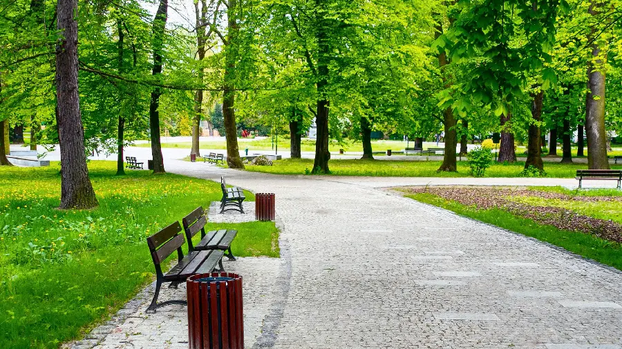 Spring season photo in a large lush park with empty benches