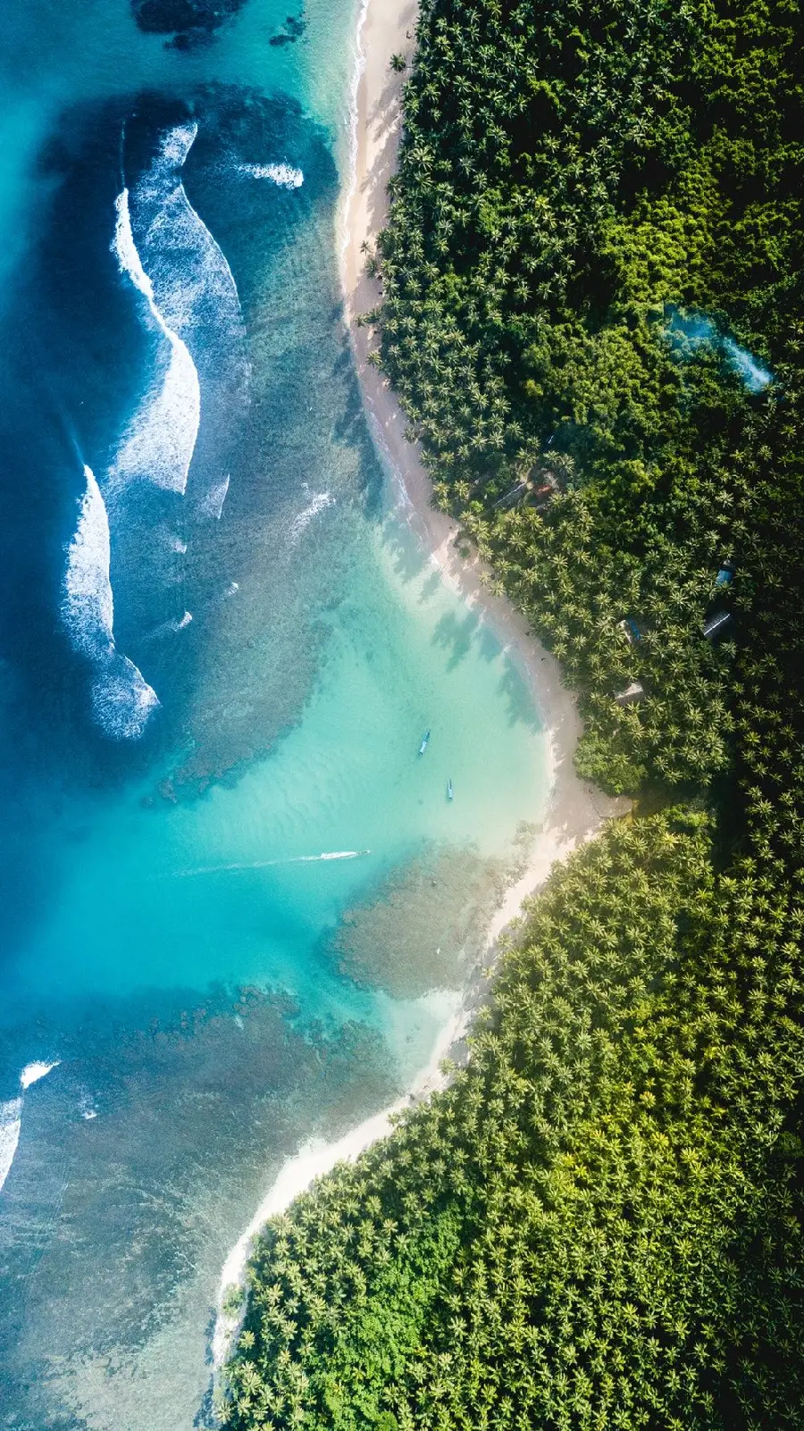 High-Quality Nature Wallpaper for Mobile – 2025 Edition