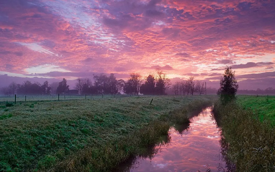 Full HD Nature Wallpaper with a mesmerizing pink theme