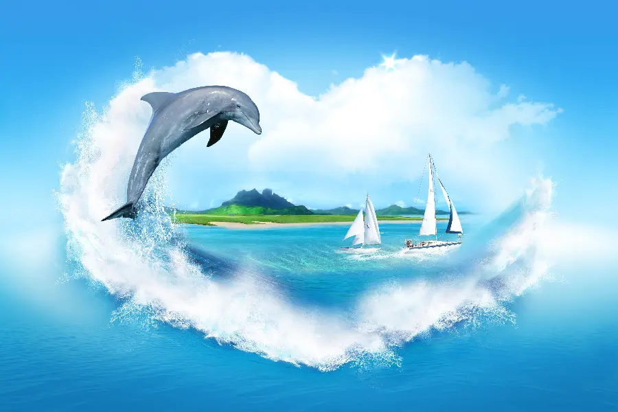 Dolphin Wallpapers and Backgrounds for Computers and Laptops