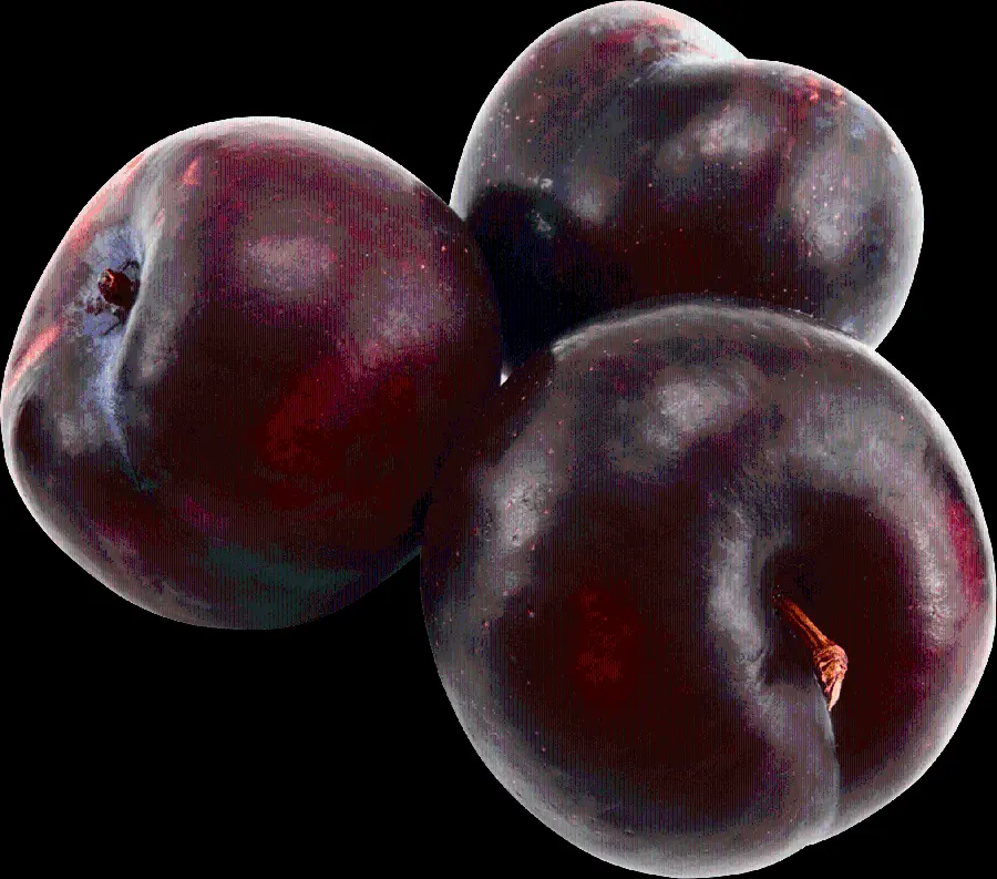 Free Image Three Plums In Telephoto Format 