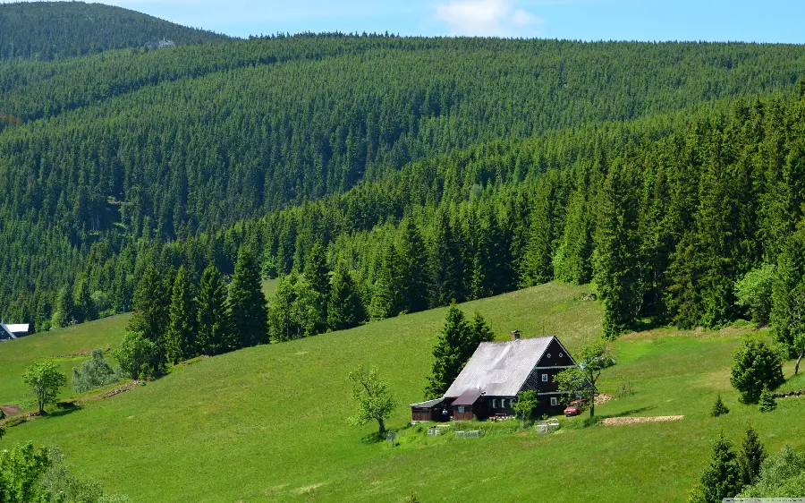 Czech Republic Nature and Forests Profile Photo