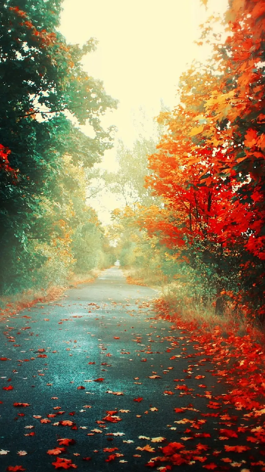Lovely Autumn Wallpaper Photo