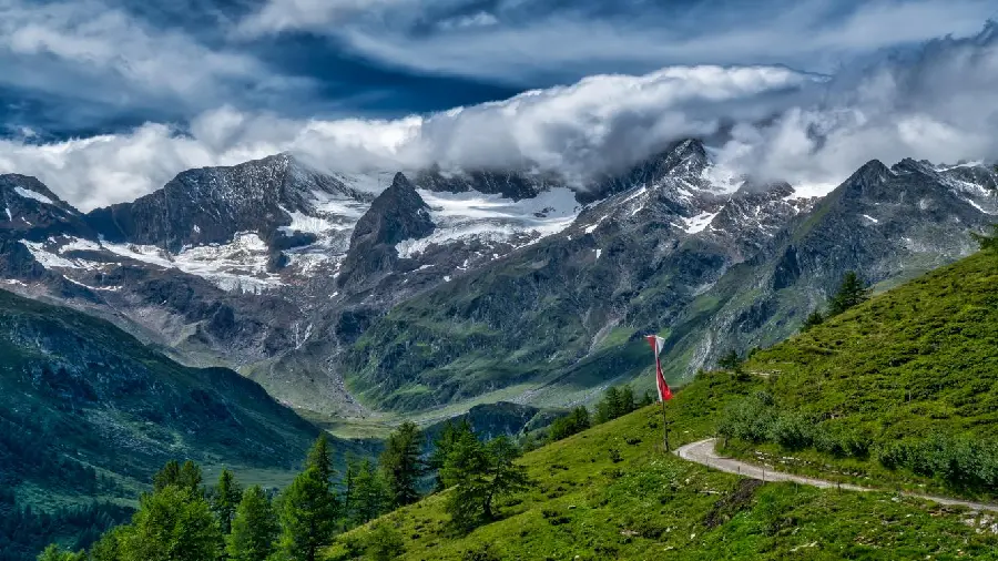 4K Swiss nature forests wallpaper