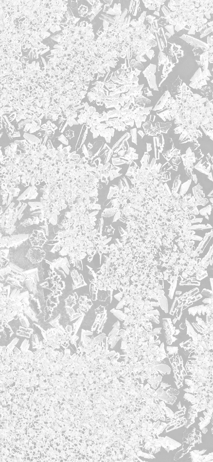 Most Viewed White iPhone Wallpaper in Original Quality