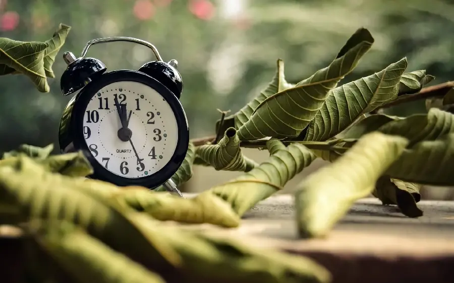 Black alarm clock image in nature with HD quality