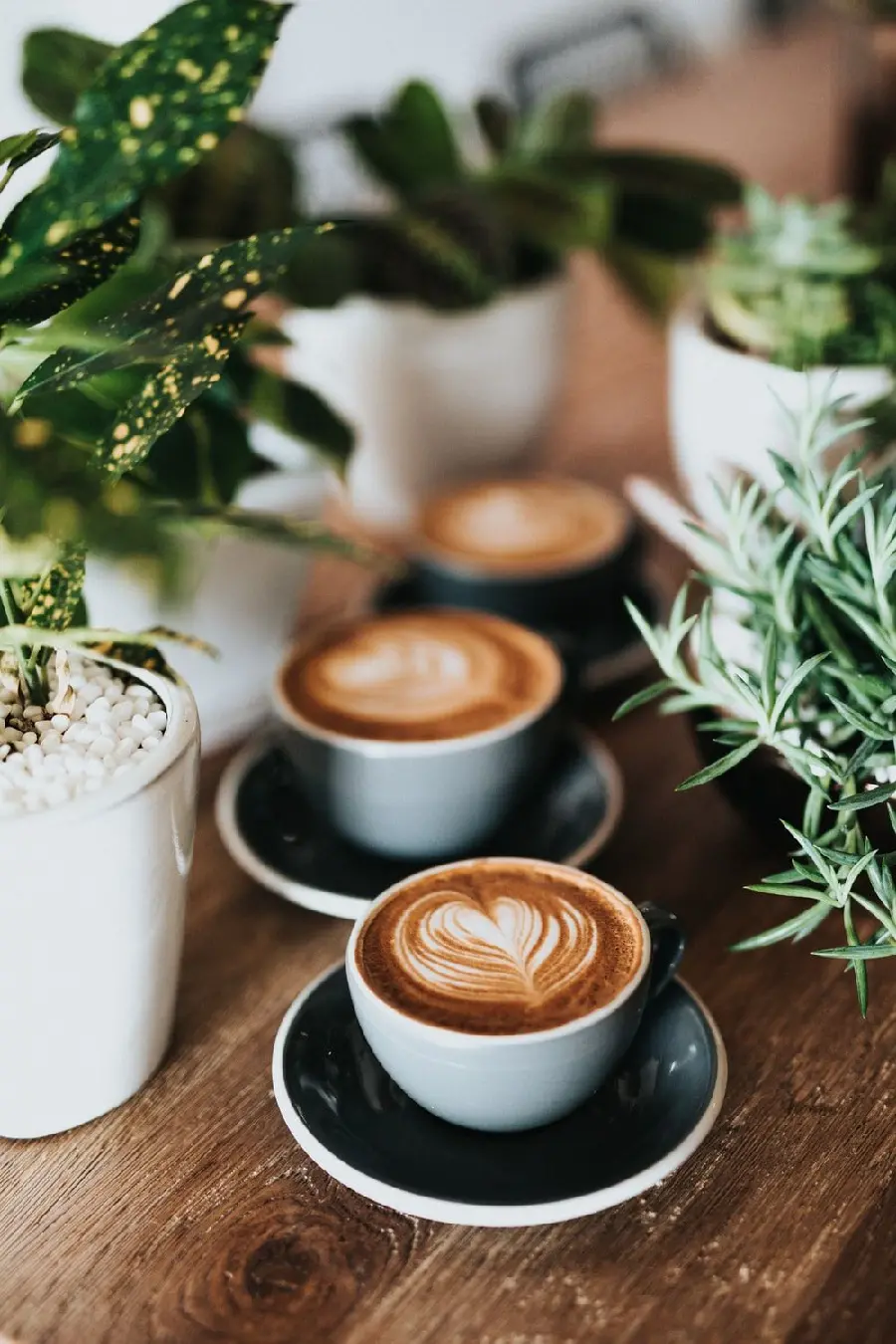Three cups of decorated cafe latte in a Full HD frame