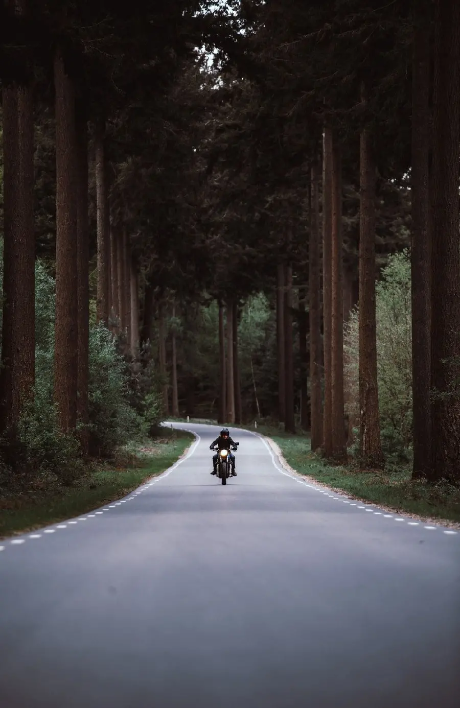 Road and Motorcycle Wallpaper