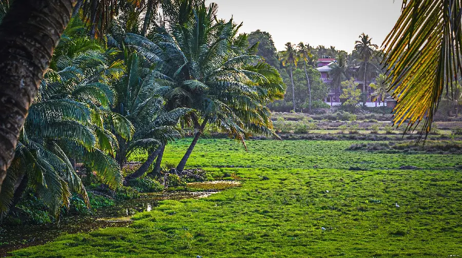 Beautiful wallpaper of the incredibly beautiful nature of India 