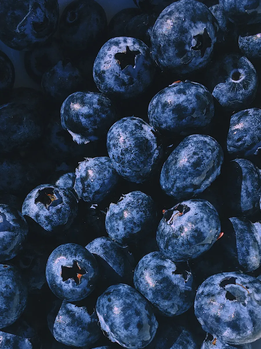 Close-up photo of blueberry seeds