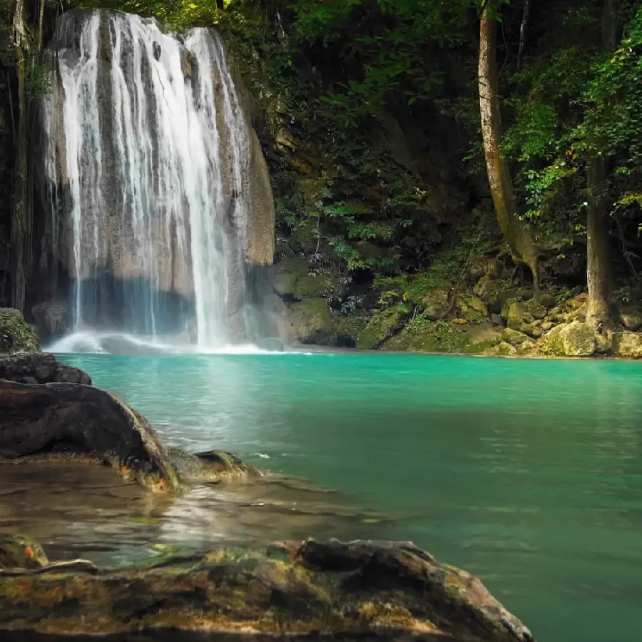 Download beautiful blue-green river image in the forest for profile