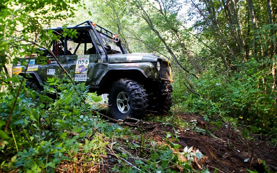Download free off-road photo in the forest
