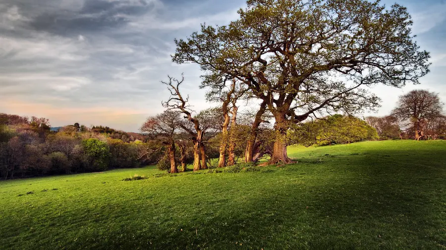 Beautiful natural image with amazing quality suitable for computer