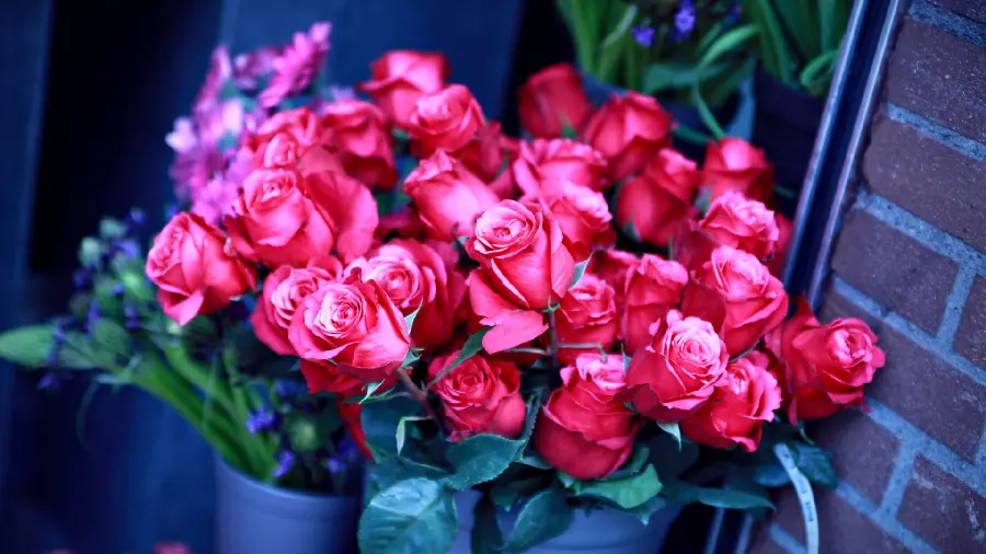 The most viewed natural rose bouquet image suitable for a profile