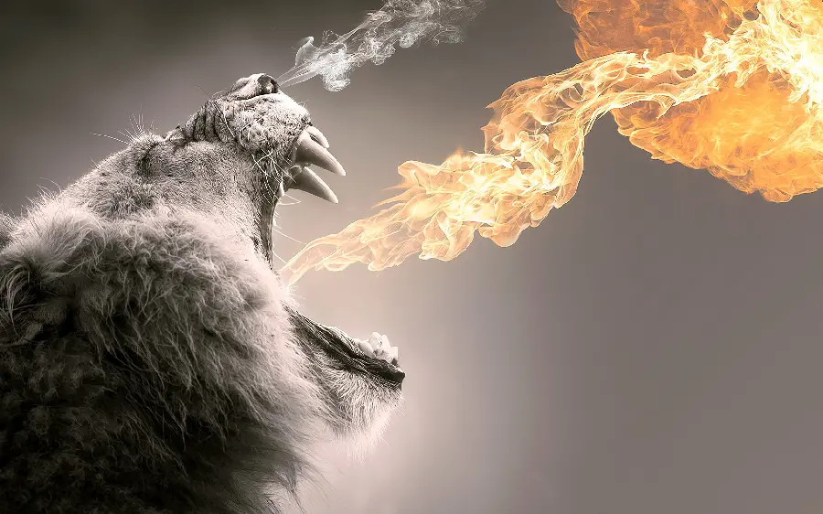 High-quality photo and professional stock image of a roaring lion