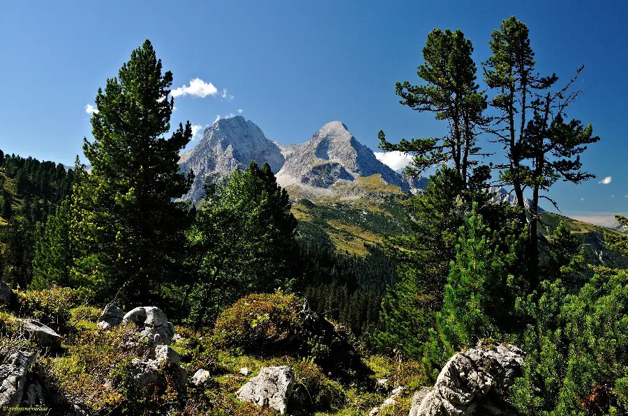 Image of pristine and lush landscape suitable for printing on chassis board