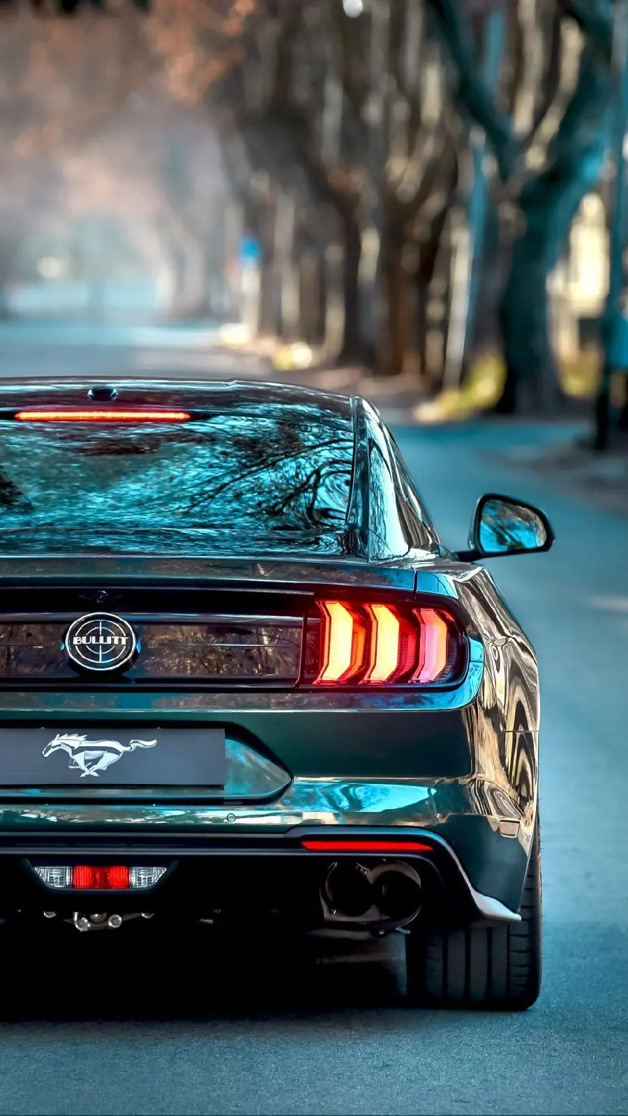 Download Ford Mustang Mobile Wallpaper