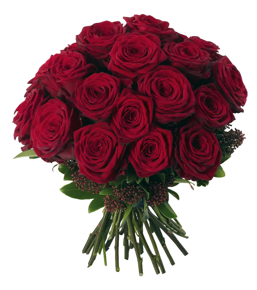 Free Downloadable Red Rose Bouquet Photo