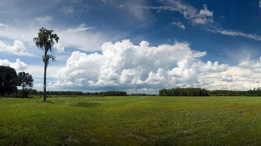 Download green plain photo and beautiful pristine nature for Android