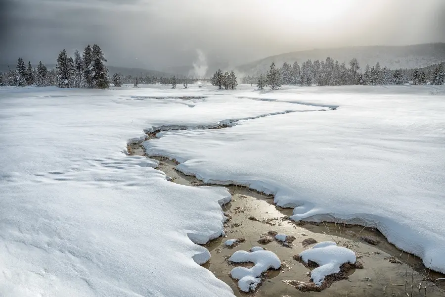 Amazing and beautiful background in the snowy winter season in HD quality