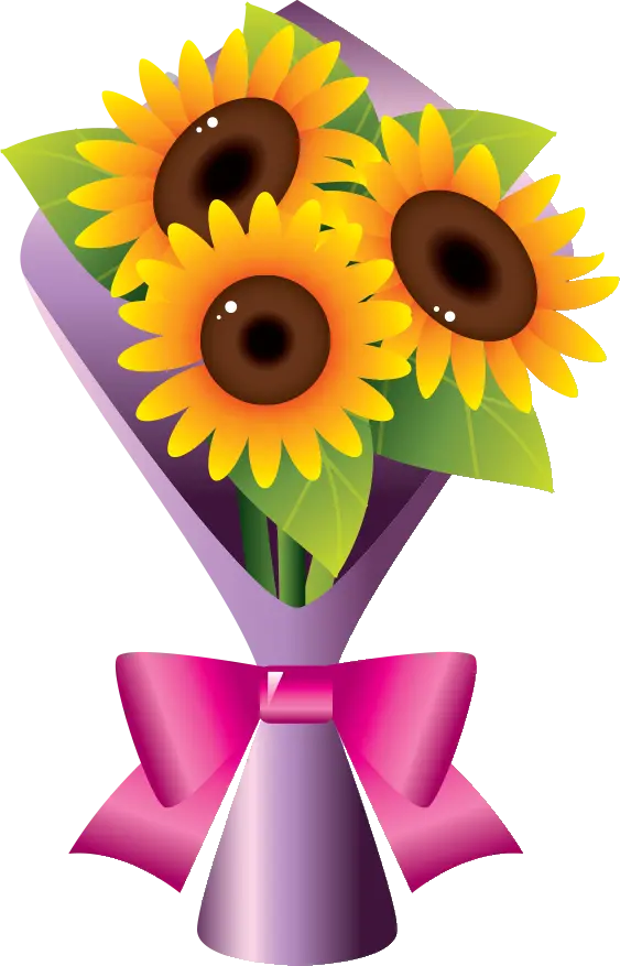 Sunflower Bouquet Image Without Background for Editing