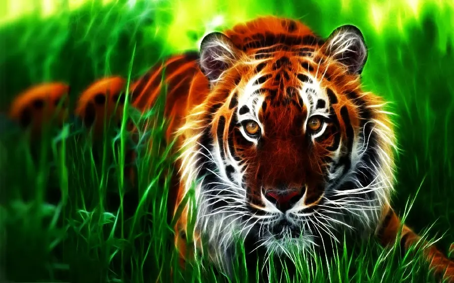 Tiger Hunting Photos