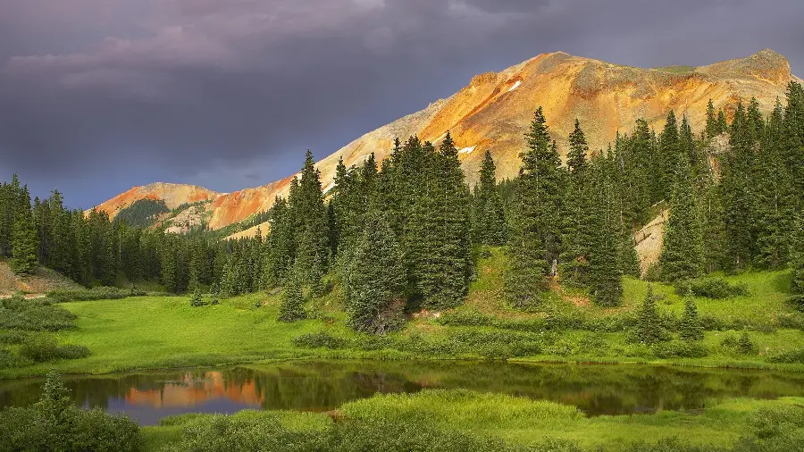 Pleasant wallpaper of green nature on the edge of the lake in 8K quality 