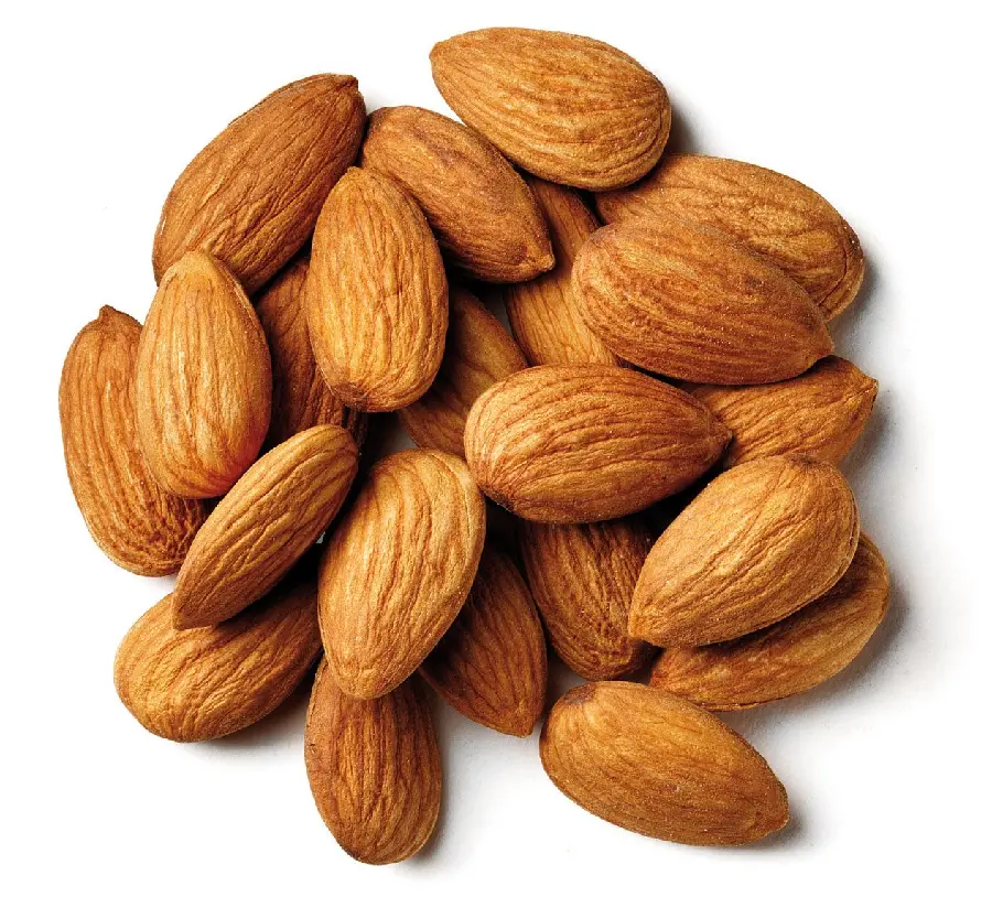 Close-up Full HD Almond Tree Photo with White Background