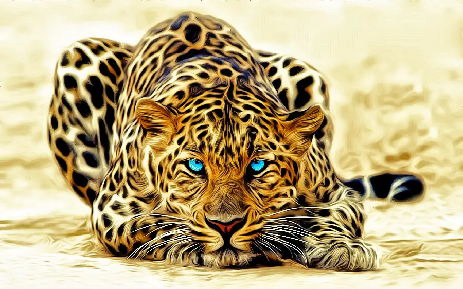 Interesting and Beautiful Photo of the Wild Leopard's Eyes in a Sitting Position