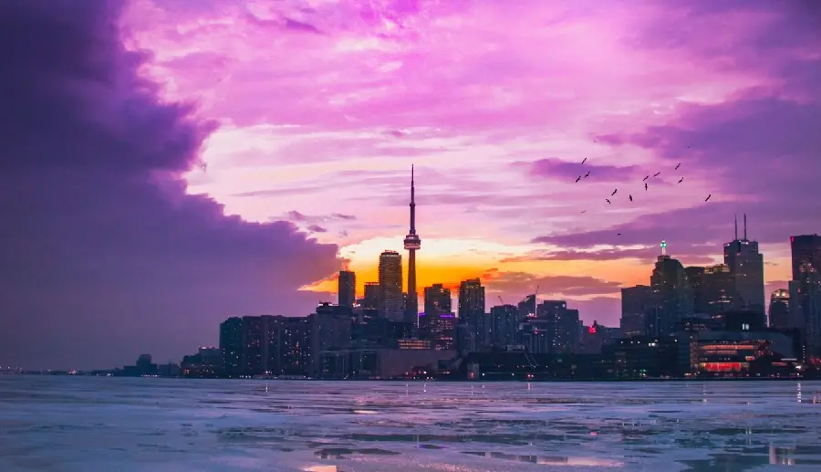 Girly profile Modern coastal city with cute pink sky